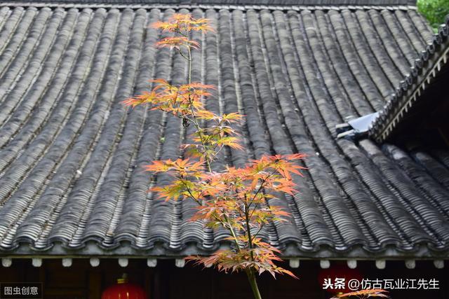導讀：農(nóng)村蓋房用樹脂瓦適合嗎？聽完行家的分析，恍然大悟