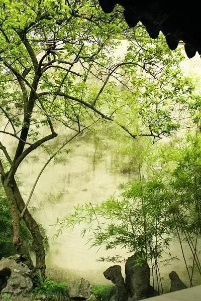 這樣的院子，只有中國(guó)人駕馭得了它！