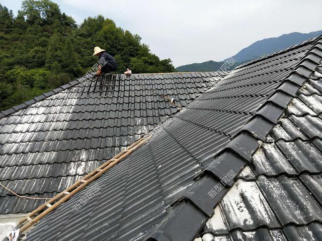 30元一平的樹(shù)脂瓦省錢又耐用？網(wǎng)友：吃飽沒(méi)事干，用一年就得換