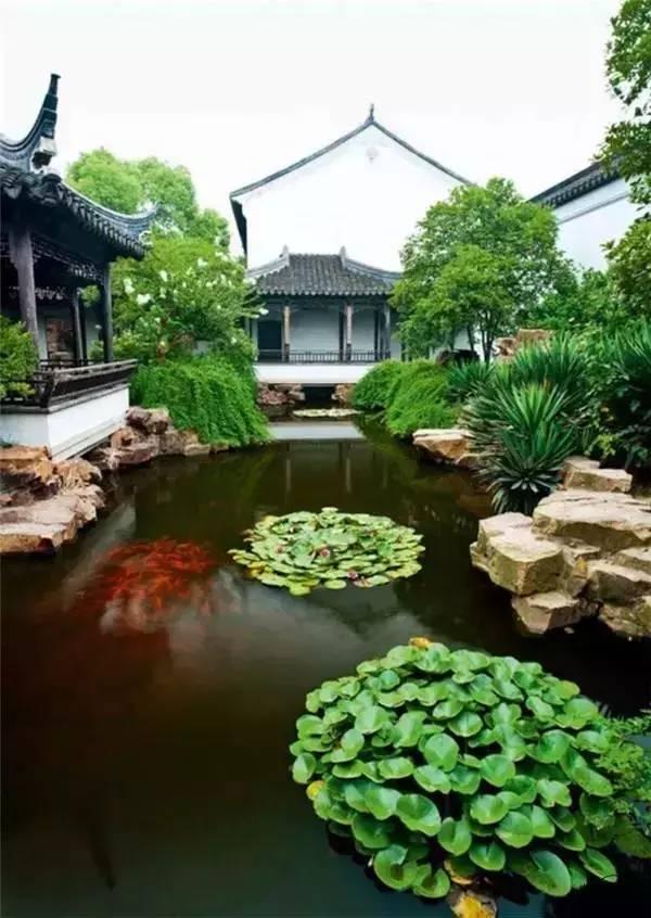 小院回廊，一步一景！